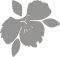 flower icon