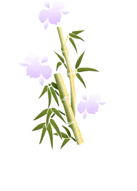 Floral Arts Studio